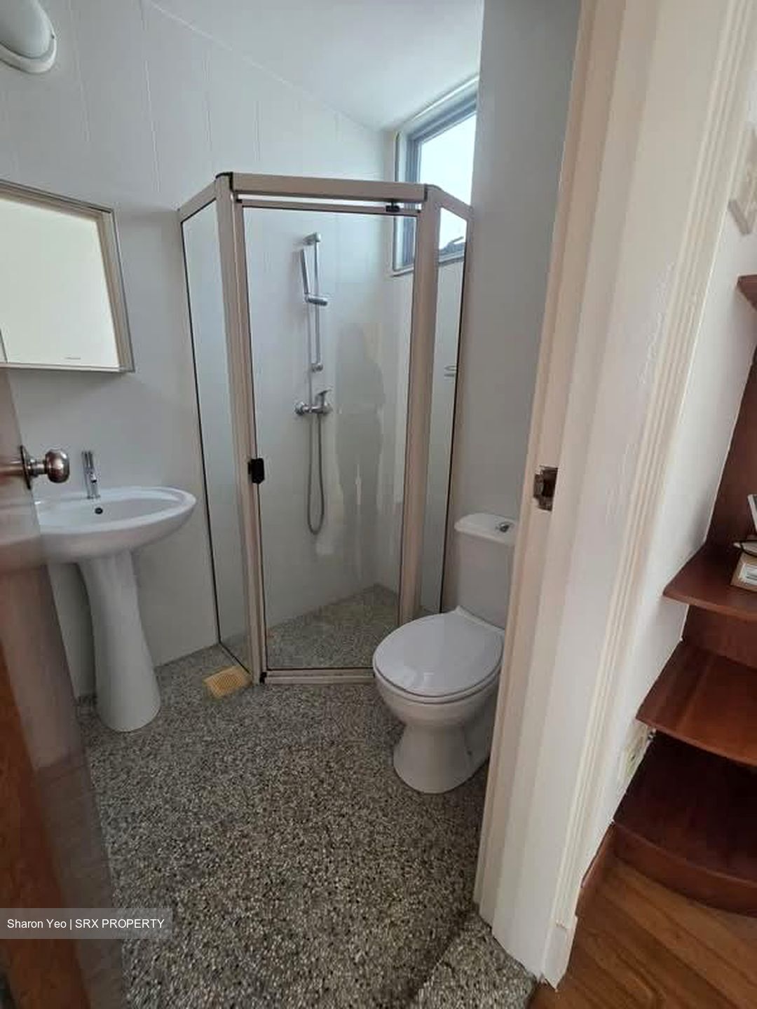 Springdale Condominium (D21), Condominium #585954131
